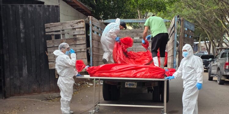 30 cuerpos no reclamados son inhumados este sábado en la capital