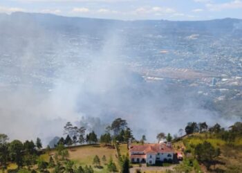 Controlado el incendio forestal en El Hatillo: unas 80 hectáreas fueron consumidas