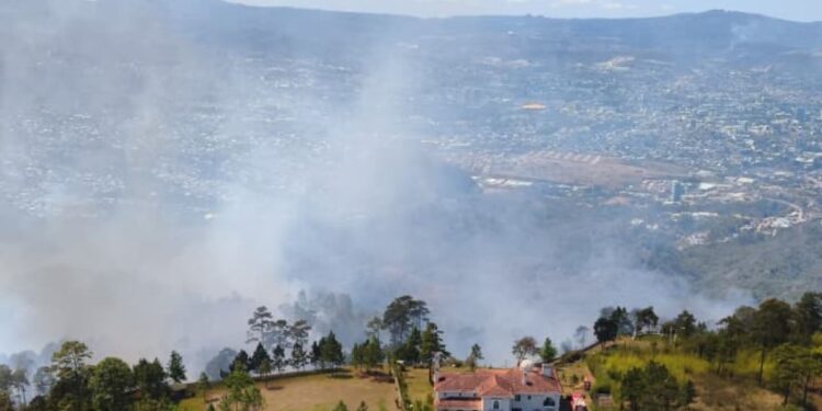 Controlado el incendio forestal en El Hatillo: unas 80 hectáreas fueron consumidas