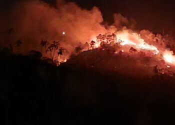 Infierno forestal en la ruta hacia Valle de Ángeles | Móvil Emergencia TGU