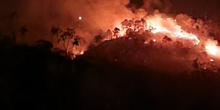 Infierno forestal en la ruta hacia Valle de Ángeles | Móvil Emergencia TGU