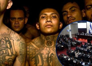 Introducen reformas para nombrar como terroristas a grupos criminales | Resumen Legislativo