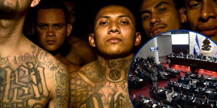 Introducen reformas para nombrar como terroristas a grupos criminales | Resumen Legislativo
