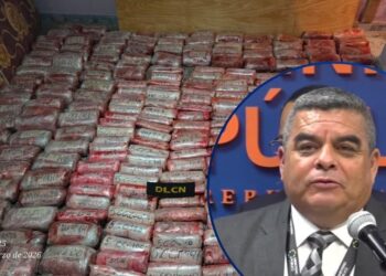 L 76 millones en droga decomisados a la MS13, contabiliza la DLCN