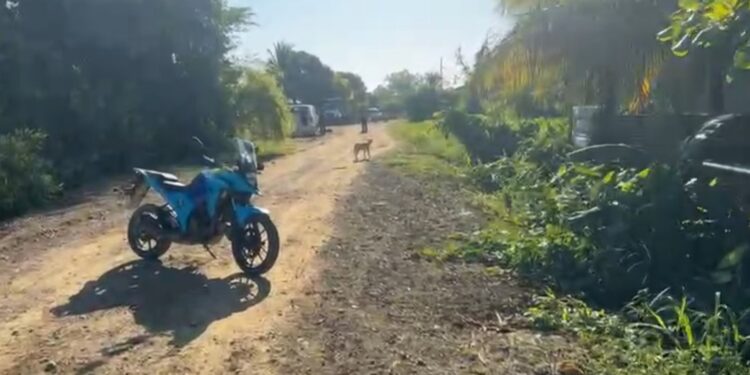 Encuentran el cuerpo sin vida de una persona en el barrio Buenos Aires de Puerto Cortés