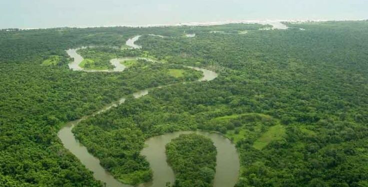 La Moskitia: La selva hondureña atrapada entre narcos, violencia y abandono, según investigación internacional