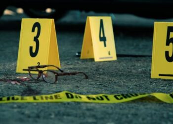 ¡Preocupante! 111 defensores del ambiente han sido asesinados mientras la impunidad continúa en un 92%