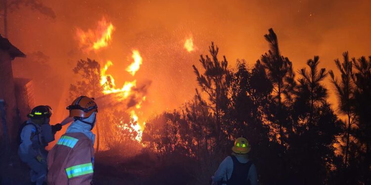 ¡Honduras en llamas! más de 80 incendios afectan el país en los primeros meses de 2026