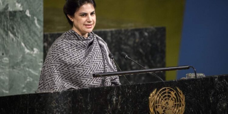 Falso que gobierno de Nasry Asfura haya otorgado aumento de sueldo a representante de Honduras en la ONU