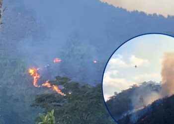 ¡Indignante! Talan y queman bosques en Patuca y Reserva de la Biósfera del Río Plátano