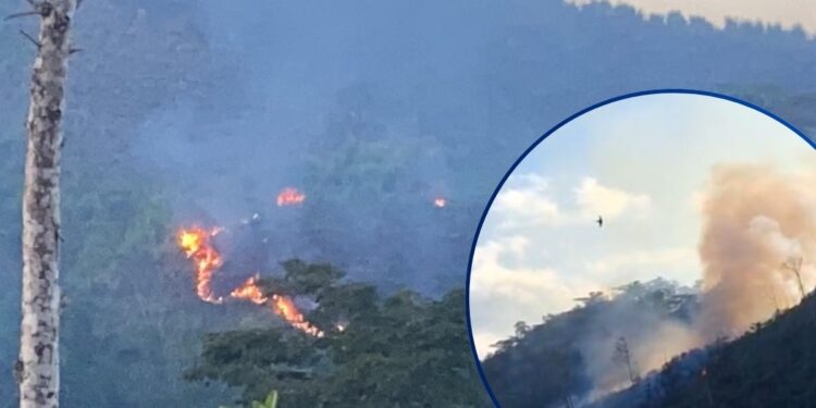 ¡Indignante! Talan y queman bosques en Patuca y Reserva de la Biósfera del Río Plátano