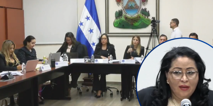 Secretaria General del CNE comparece como testigo en juicio político: “Marlon Ochoa no asistió a las sesiones y ocasionó que el cronograma electoral quedara desfasado”