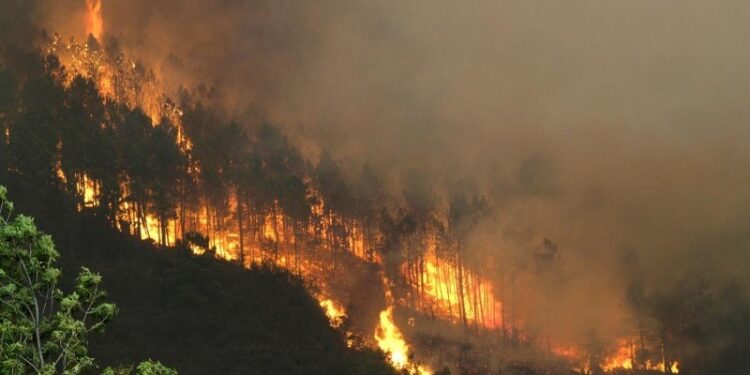 Un total de 398 incendios forestales se registran durante la temporada seca, según el ICF