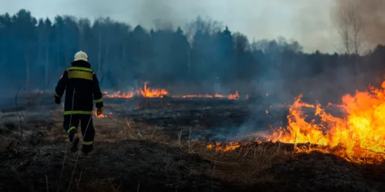 ¡ALERTA EN LA CAPITAL! Al menos 122 incendios forestales se registran en Tegucigalpa en lo que va 2026, según ICF