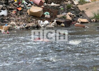 Localizan cadáver de una persona en el río Choluteca, bajo el puente Carías