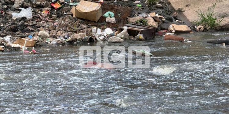 Localizan cadáver de una persona en el río Choluteca, bajo el puente Carías