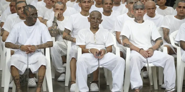 El inédito megajuicio contra más de 400 presuntos pandilleros avanza en El Salvador