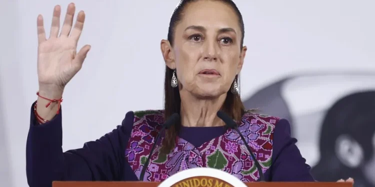 Sheinbaum pide revisar la norma tras el sacrificio de 10.000 perros callejeros en México