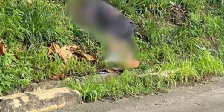 Ejecutado dejan a hombre a orilla de la 33 calle, SPS