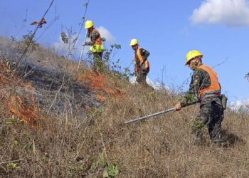 1,583 hectáreas de bosque se quemaron en 13 incendios forestales durante la Semana Santa