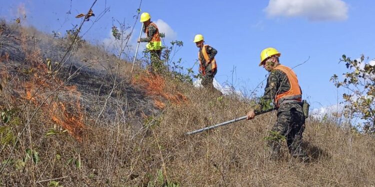 1,583 hectáreas de bosque se quemaron en 13 incendios forestales durante la Semana Santa