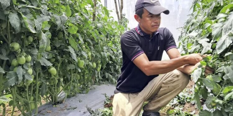 Gobierno de Honduras apuesta por mayor inversión y fortalecer la producción rural en el occidente del país