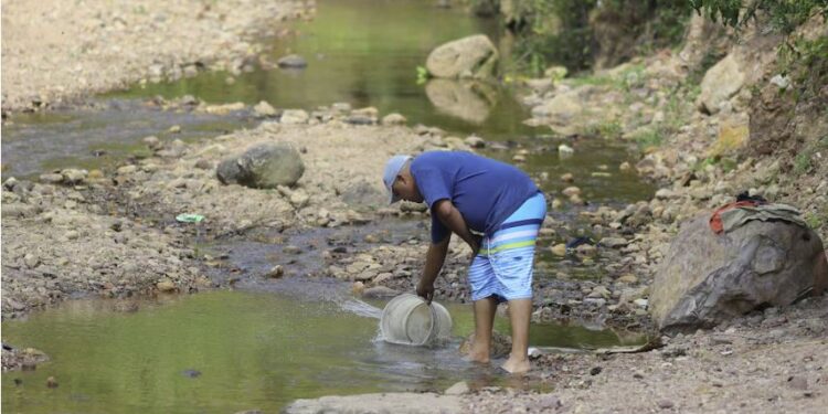 ¡Póngase vivo! Advierten reducción de lluvias y riesgo de seguridad alimentaria para 250 mil familias
