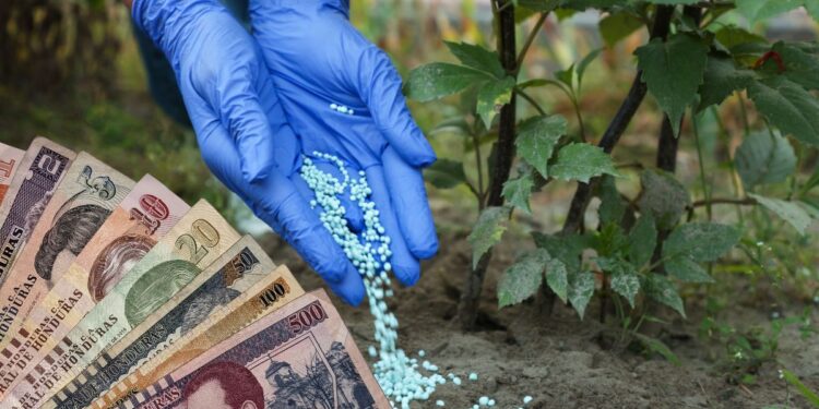 ¡Al borde de una emergencia! Precios de insumos se disparan hasta L 400 y ahogan a productores