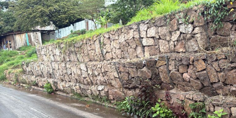 ¡Ya casi se cae! Muro de gaviones amenaza con bloquear calle en la Nueva Santa Rosa