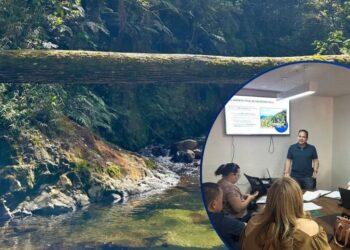 Advierten “peligro ambiental” por propuesta de convertir la Zona de Reserva de El Merendón en Parque Nacional