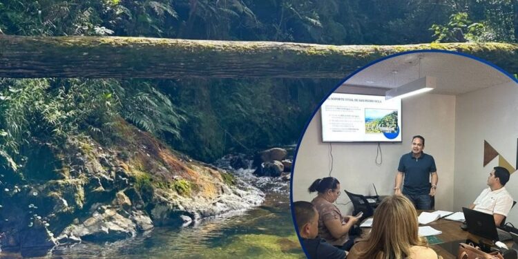 Advierten “peligro ambiental” por propuesta de convertir la Zona de Reserva de El Merendón en Parque Nacional