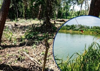 Cuatro años de prisión le caen a 10 personas por corte masivo de árboles en el río Ulúa