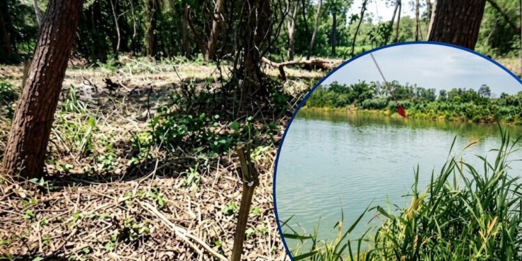 Cuatro años de prisión le caen a 10 personas por corte masivo de árboles en el río Ulúa