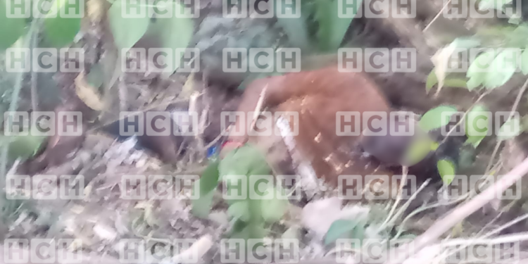 En avanzado estado de descomposición encuentran el cuerpo de una persona en los pozos de agua en Monte Placentero, Roatán