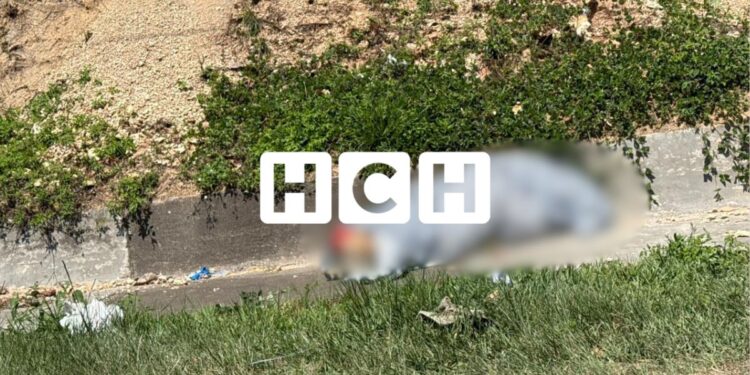 ¡Dantesco! Dejan un “ensabanado” a orilla de la CA-5, al norte de TGU