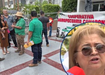 “Quieren criminalizar la lucha”: Alianza Campesina presenta recurso de inconstitucionalidad contra reformas al Código Penal