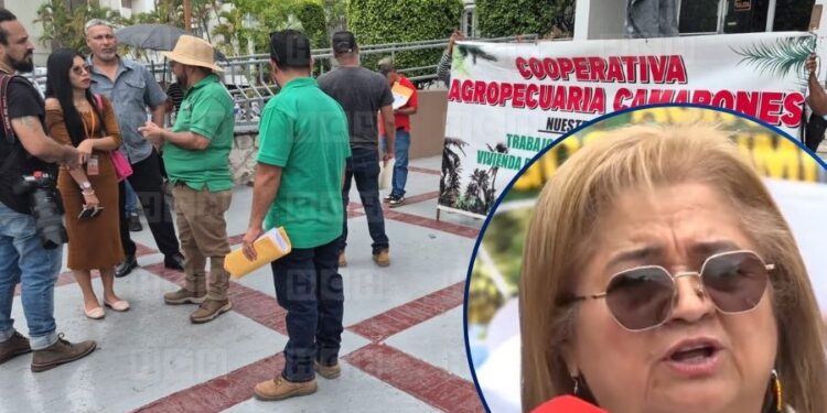“Quieren criminalizar la lucha”: Alianza Campesina presenta recurso de inconstitucionalidad contra reformas al Código Penal