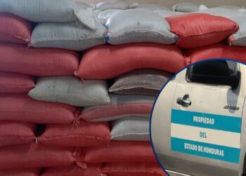 TSC llega a investigar millonaria pérdida de frijol y maíz en el IHMA