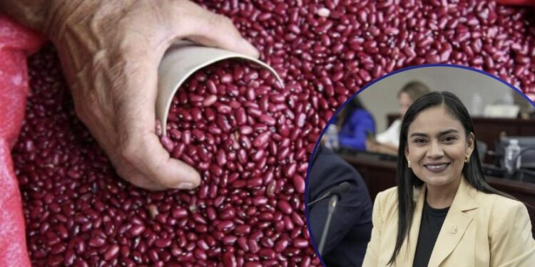 ¿Qué paso con los frijoles? Diputada presenta moción para investigar pérdida millonaria de frijoles en el IHMA