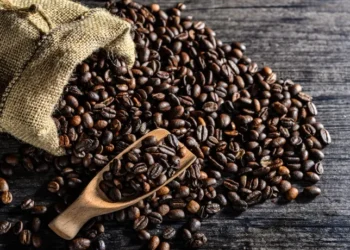 Exportaciones de café hondureño crecen 25% en la cosecha actual superando los 6 millones de quintales