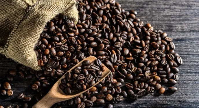 Exportaciones de café hondureño crecen 25% en la cosecha actual superando los 6 millones de quintales