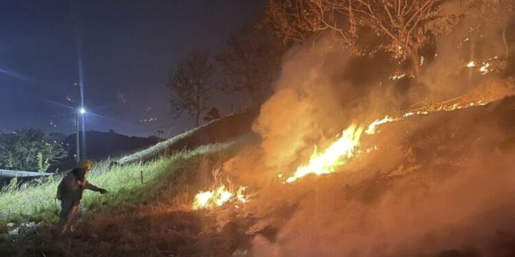 Más de 600 incendios forestales se registran a nivel nacional, según el Cuerpo de Bomberos