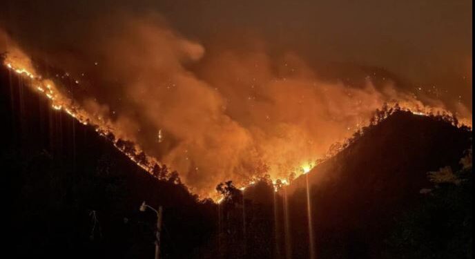 ¡Emergencia ambiental! incendio de grandes proporciones quema los bosques en El Rosario, Comayagua