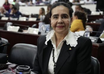 Diputada Luz Ernestina Mejía expresó su enorme malestar por la aprobación de ascensos militares “es una ofensa”