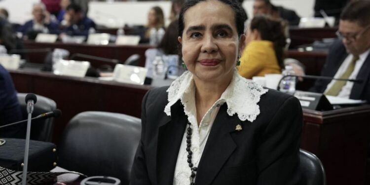 Diputada Luz Ernestina Mejía expresó su enorme malestar por la aprobación de ascensos militares “es una ofensa”