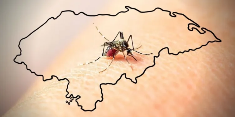 Honduras supera los 3 mil casos de dengue y mantienen alerta por aumento de casos