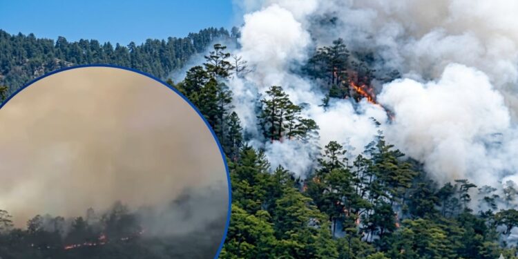 Ofrecen $ 2,000 por quien dé información de los pirómanos que le metieron fuego a la montaña Celaque