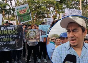 ¡Con toma de carretera! Pobladores de Güinope protestan contra la tala del bosque