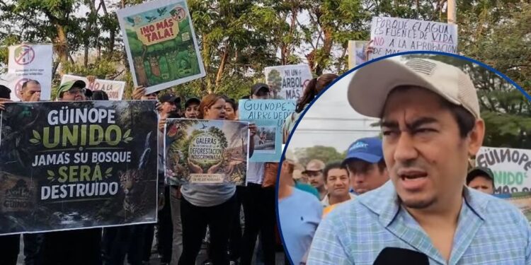 ¡Con toma de carretera! Pobladores de Güinope protestan contra la tala del bosque