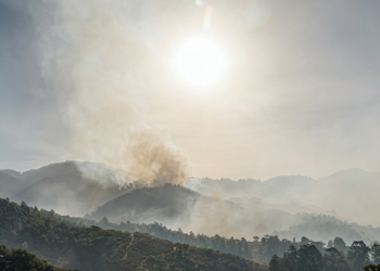 ¡Desastre ambiental! Enorme incendio arrasa hectáreas de bosque en El Chimbo